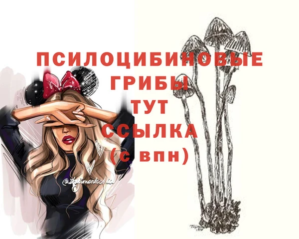 jwh Гусиноозёрск