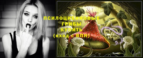 дурь Гусь-Хрустальный