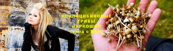 jwh Гусиноозёрск