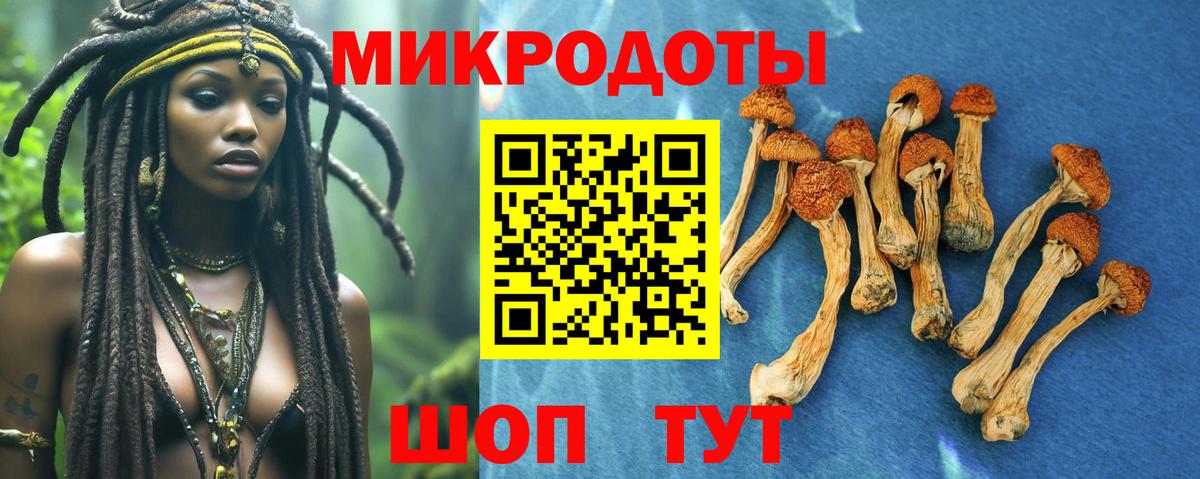 Галлюциногенные грибы мухоморы  Галлюциногенные грибы прущие грибы  Вход с VPN  Заволжье 
